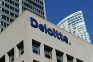Deloitte VAT Consultants