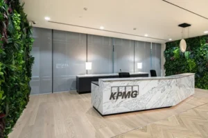 KMPG VAT Consultants