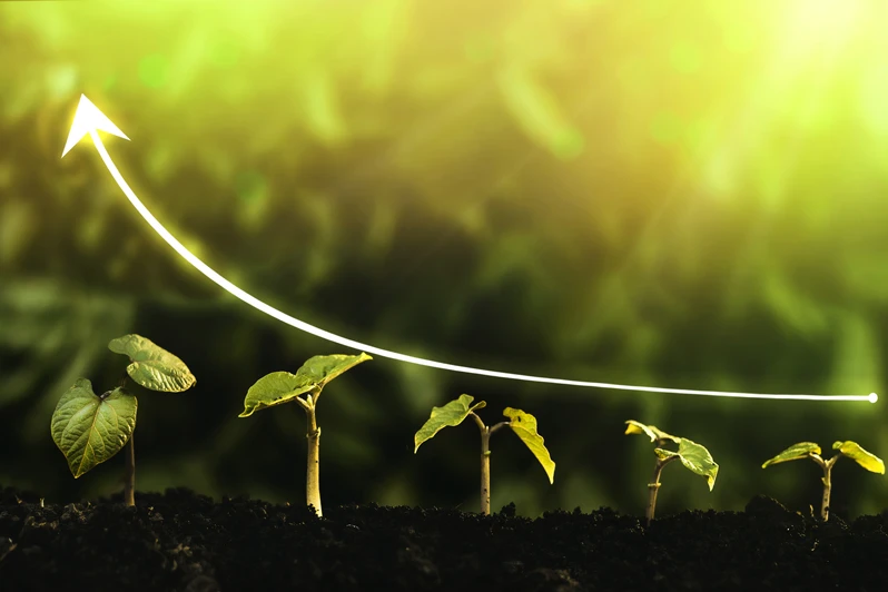 Documents Required for VAT Registration in UAE