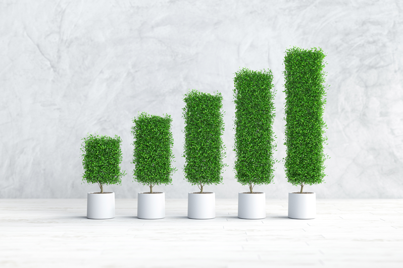 How to Claim VAT Refund in the UAE