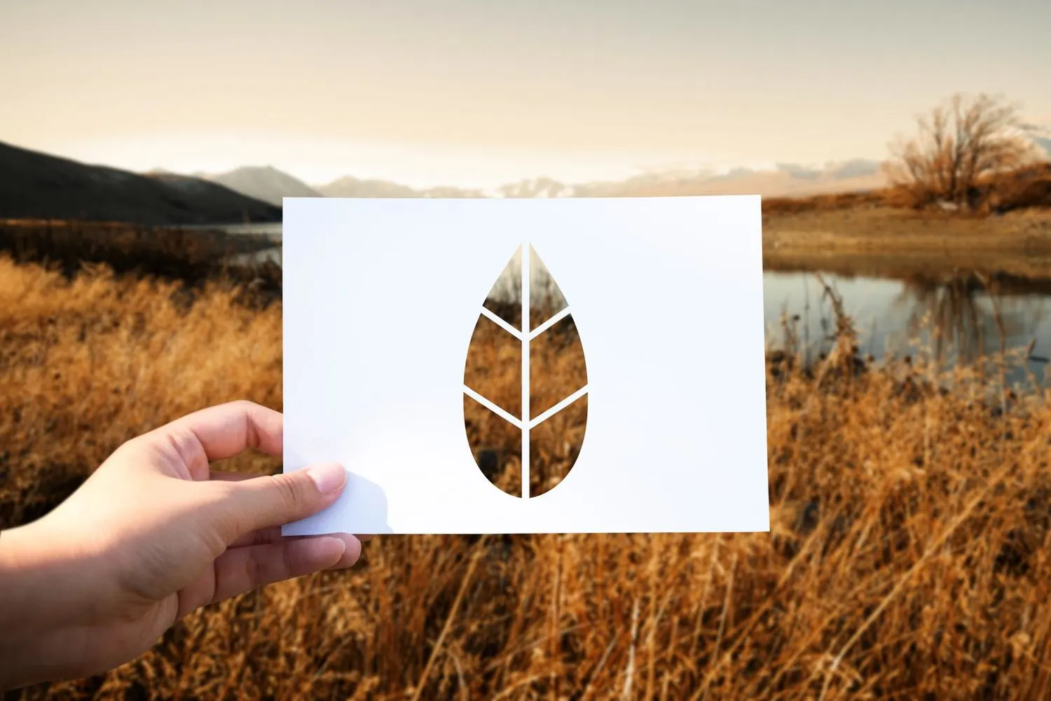 Common Problems in VAT Deregistration